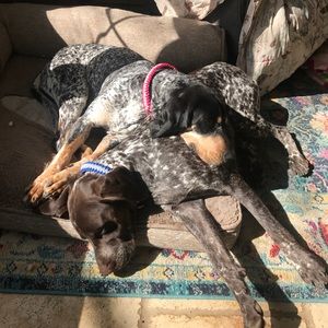 Meet your Posher, Angela